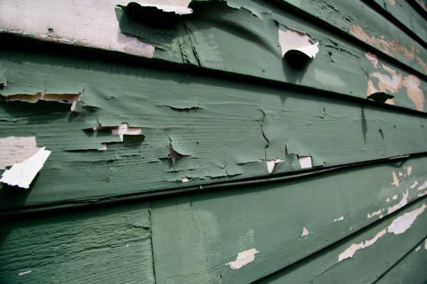 Best Custom Trim and Detailing for Siding  in Diamondhead, MS