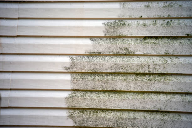 Best Steel Siding Installation  in Diamondhead, MS
