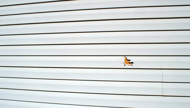Best James Hardie Siding  in Diamondhead, MS