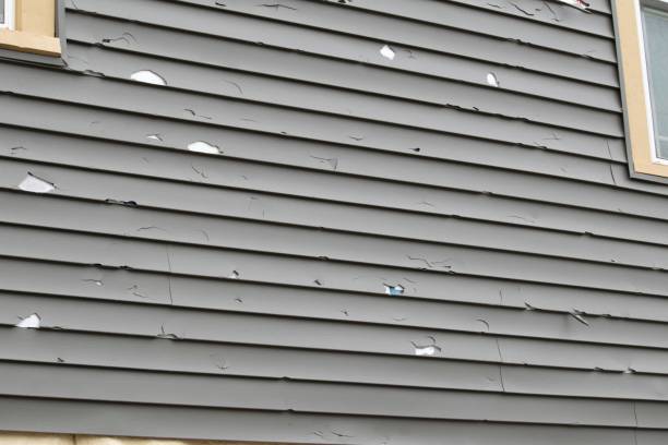 Best Insulated Siding Installation  in Diamondhead, MS
